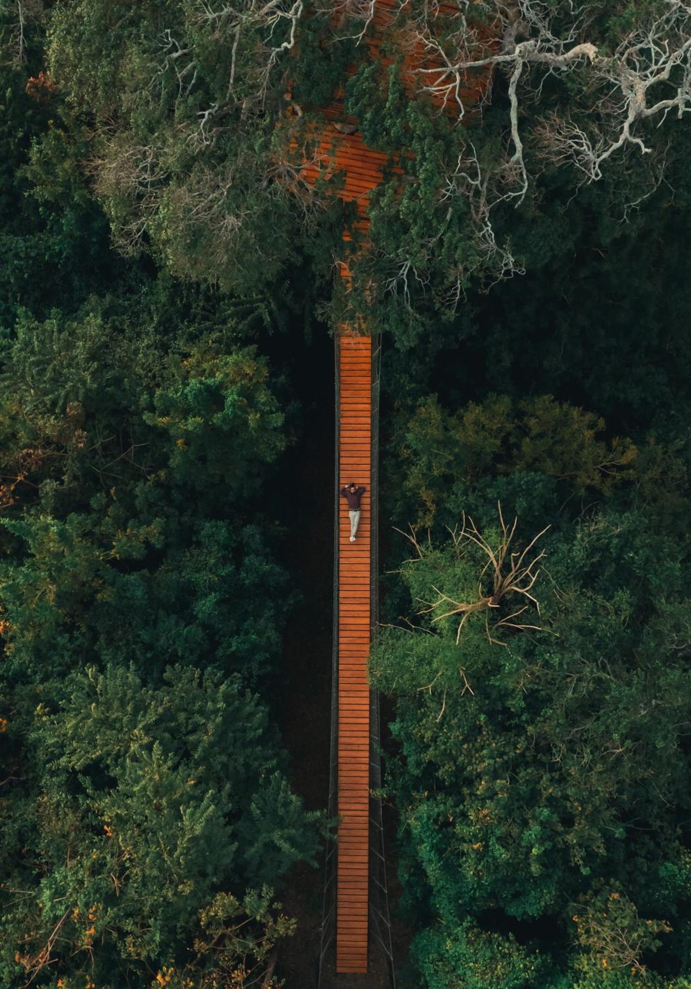 Treecasa Hotel & Resort Nicaragua San Juan del Sur Ngoại thất bức ảnh